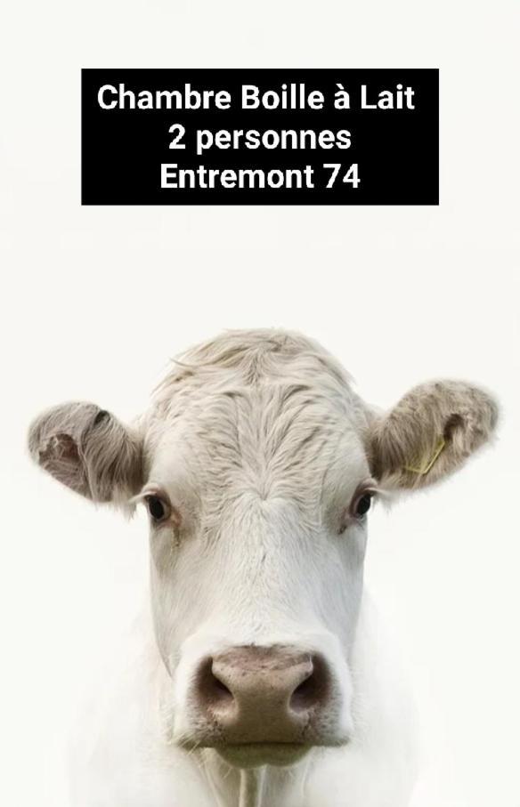 Entremont Chambre Trefle المظهر الخارجي الصورة